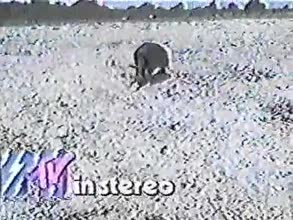 1982 MTV promo - stereo