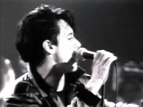 Iggy Pop - Real Wild Child (Wild One)