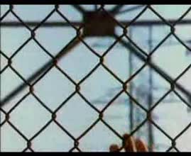 Los Lobos - Will the Wolf Survive？ (Music Video)