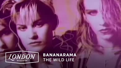 Bananarama - The Wild Life (Official Video)