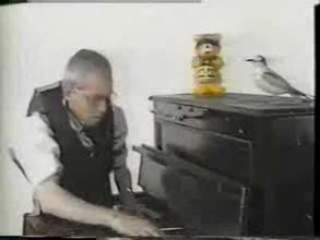 Flying Lizards Dizzy Miss Lizzie