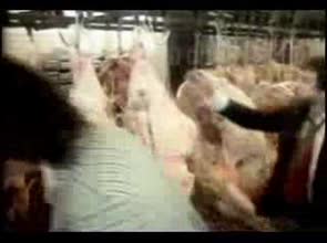 38 Special - Back Where You Belong