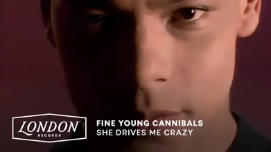 Fine Young Cannibals - She Drives Me Crazy (Official Video)