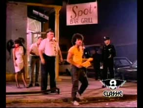 Krokus Midnight Maniac